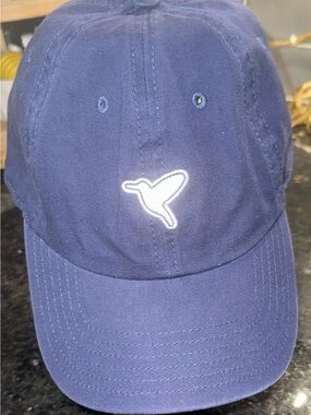 Birddogs Navy Blue Logo Baseball Cap